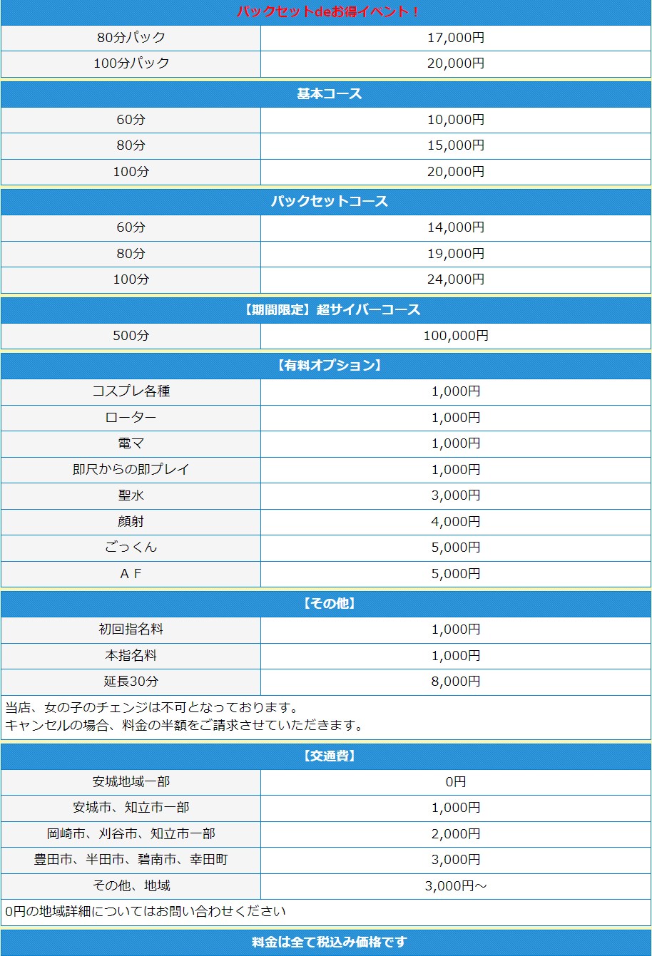 サイバープロジェクトX(安城／デリヘル)の料金表