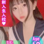 せいか（業界未経験）