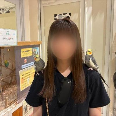 オカメインコ🦜