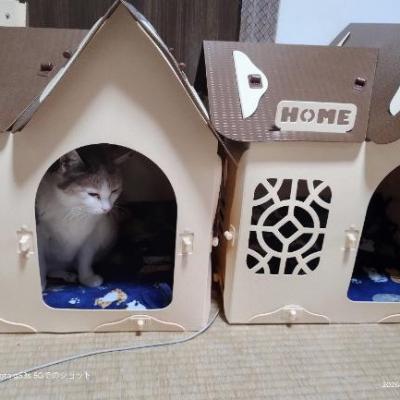 お部屋