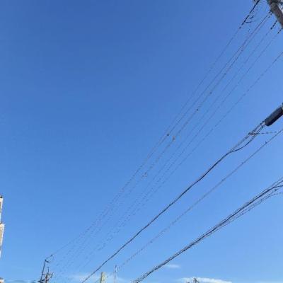 ペコペコ🫠🍚