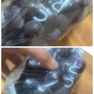 いただいたぶどう🍇✨️