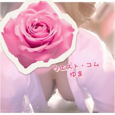 今週の予定📅