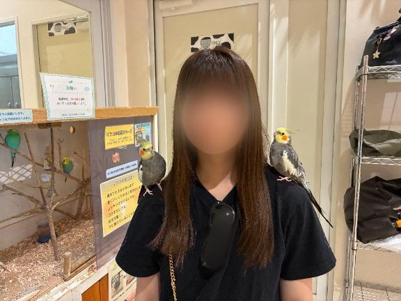 オカメインコ🦜の画像1枚目