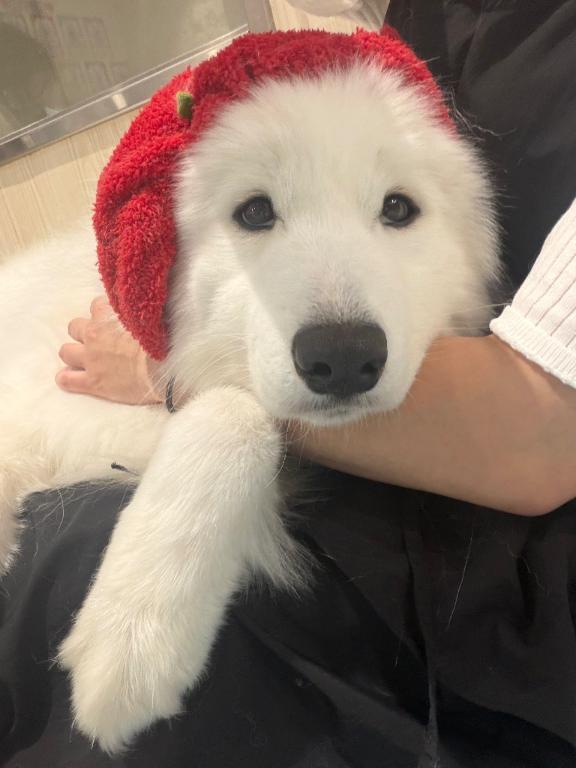 🐻‍❄️の画像1枚目