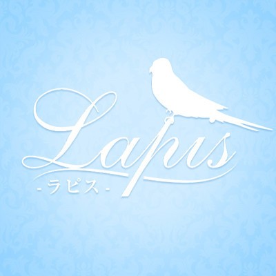 LAPISラピス新宿(新宿・高田馬場／マンション(個室))