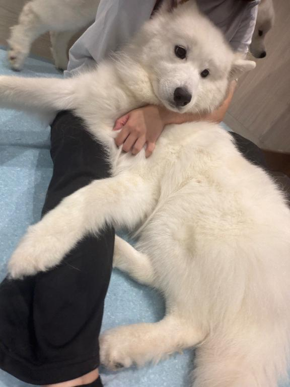 🐻‍❄️の画像1枚目