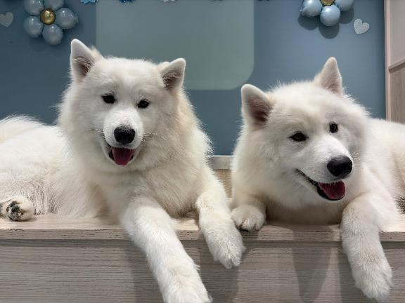 🐻‍❄️の画像1枚目