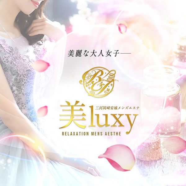 美LUXY(岡崎／マンション(個室))