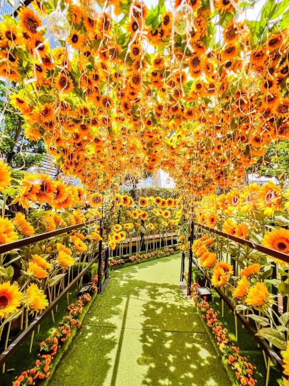 昼の向日葵🌻の画像1枚目