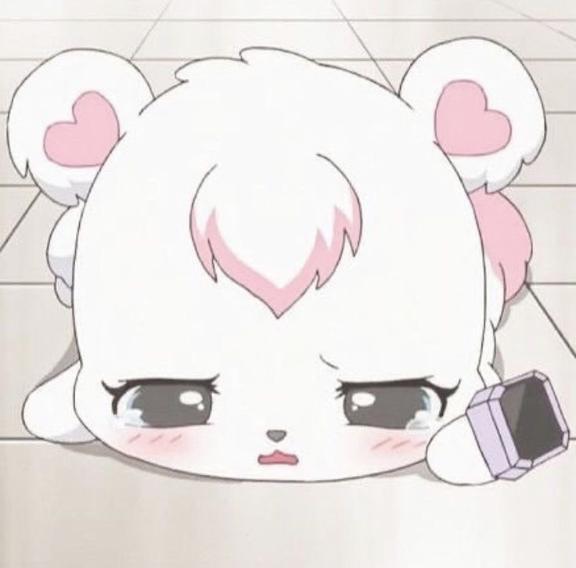 🙇🏻‍♀️の画像1枚目