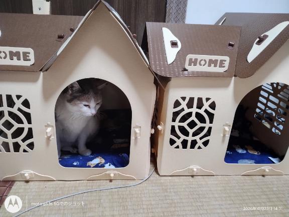 お部屋の画像1枚目