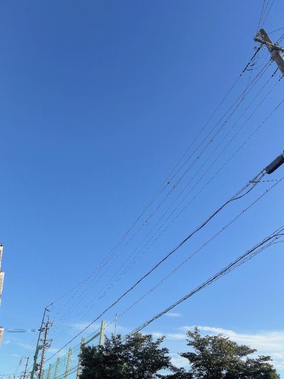 ペコペコ🫠🍚の画像1枚目