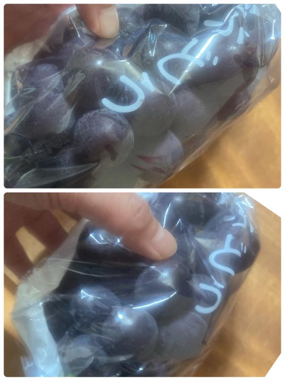 いただいたぶどう🍇✨️の画像1枚目