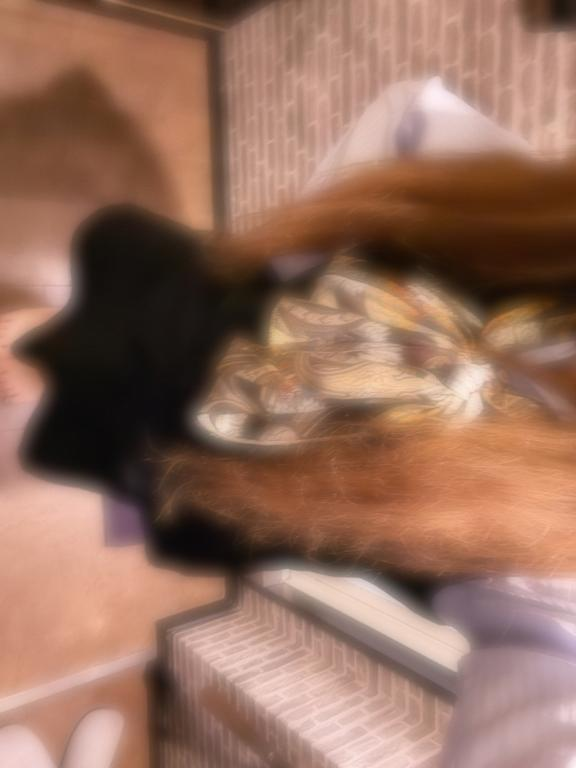 ありがとう‪‪❤︎‬の画像1枚目