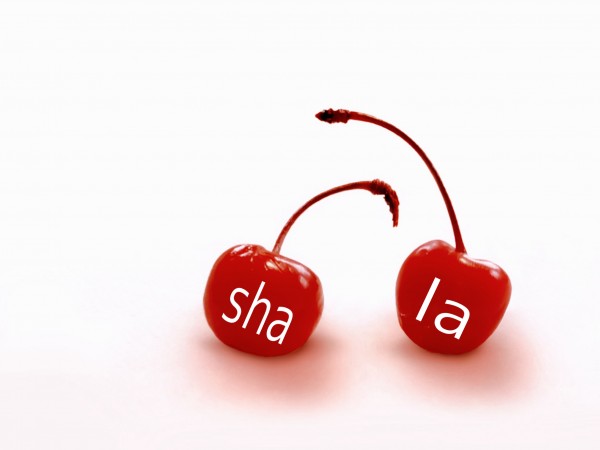 sha-laの体入、バイト、求人情報